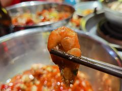 -袁老四重庆老火锅(桐梓坡店)