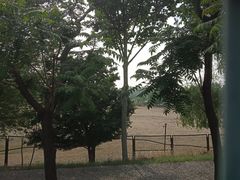 -北京麋鹿生态实验中心