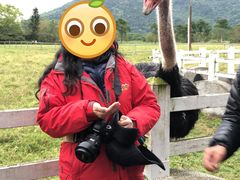 -瑞穗牧场