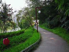 -重庆彩云湖湿地公园