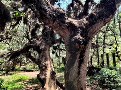 -北海金海湾红树林生态旅游区