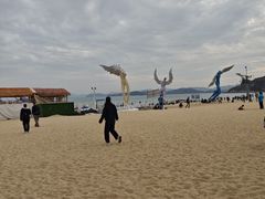 -大梅沙海滨公园