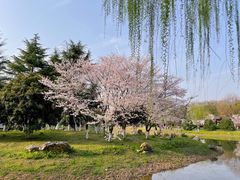 -堤角公园