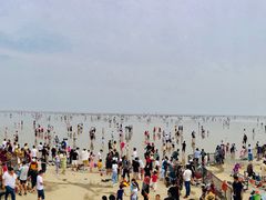 -碧海金沙