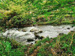 -祁门牯牛降观音堂风景区