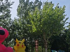 -西部长青自然儿童乐园