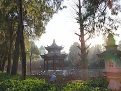 -洛阳白马寺
