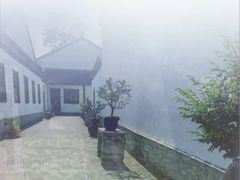 -金庸书院