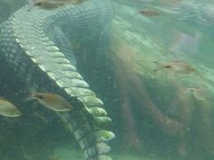 android_upload_pic-河川生态园