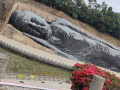 -三水森林公园