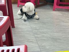 -脑馋粉儿(三里屯店)