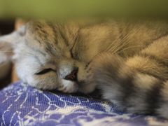 -不舍昼夜咖啡馆