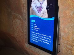 -哈尔滨波塞冬海底世界