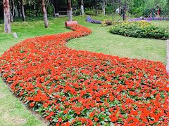 -武汉园博园(武汉自然博物馆)