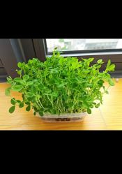-艾薇朵朵全套房月子中心(江宁店)