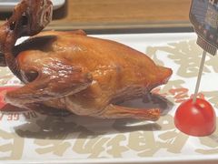 -大鸽饭(动物园店)