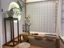 -雅极坞国潮SPA轻养馆