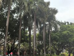 -江头公园