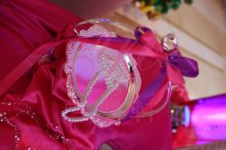 -上海浦东喜来登由由大酒店·宴会厅