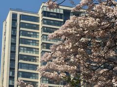 -成都市活水公园