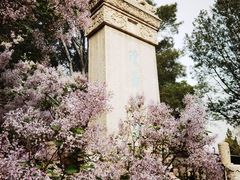 -北海公园