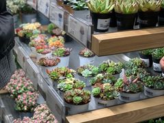 -鹿岛生活(熙地港店)