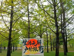 -朝伟清真铜瓢牛肉馆(三十年老·店)
