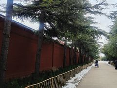 -洛阳白马寺
