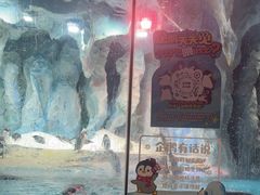 -帝企鹅自助餐厅•儿童岛•真企鹅(长隆企鹅酒店)