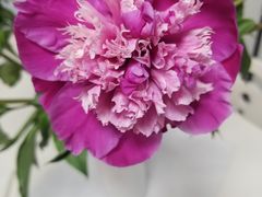 -弄堂里(雨花客厅店)