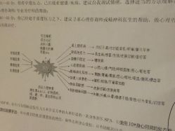 -海茱雅科技健康美容