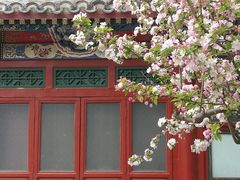 -海棠花溪(元大都城垣遗址公园)