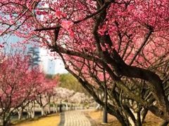 -白塘生态植物园