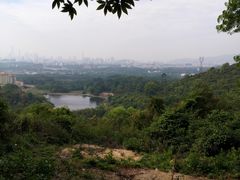-火炉山森林公园