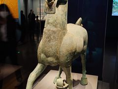 -广西壮族自治区博物馆