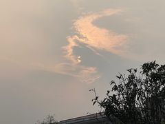 -羚羊峡古栈道森林公园