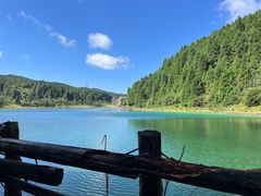 -武陵山森林公园