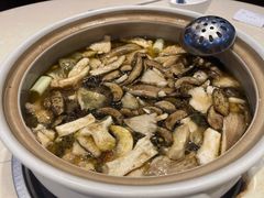 -爱膳菌锅锅(阳南店)