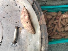 -西江红·株洲本地菜(滨江南路店)