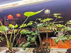 -望京一号·重庆江湖菜(工体店)