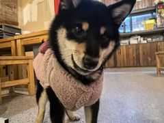 -00后的烤串·扬州地标烧烤(大运河博物馆店)