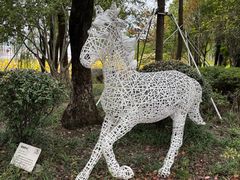 景点-金鸡湖桃花岛