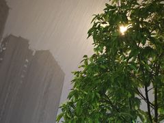 -骏景花园