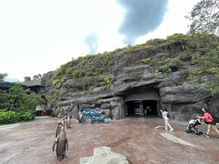 -新加坡飞禽公园