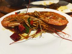 阿根廷红虾-汉巴味德(大悦城店)