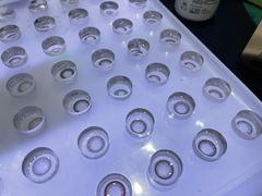 -miomi米欧米美瞳隐形眼镜(大兴荟聚店)