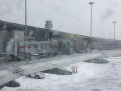 -蒙特利尔皮埃尔·埃利奥特·特鲁多国际机场