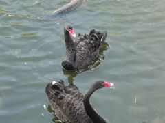 -北京鹿世界主题园