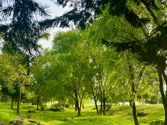 -钟山体育运动公园