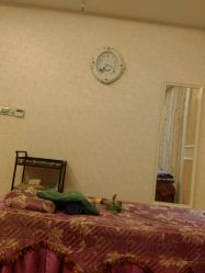 -悦芳庭美肤美体品牌集合店